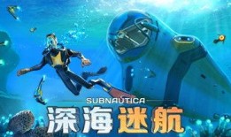 深海迷航爆料视频大全,揭秘神秘海洋探险视频集锦